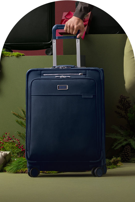 Checked Luggage