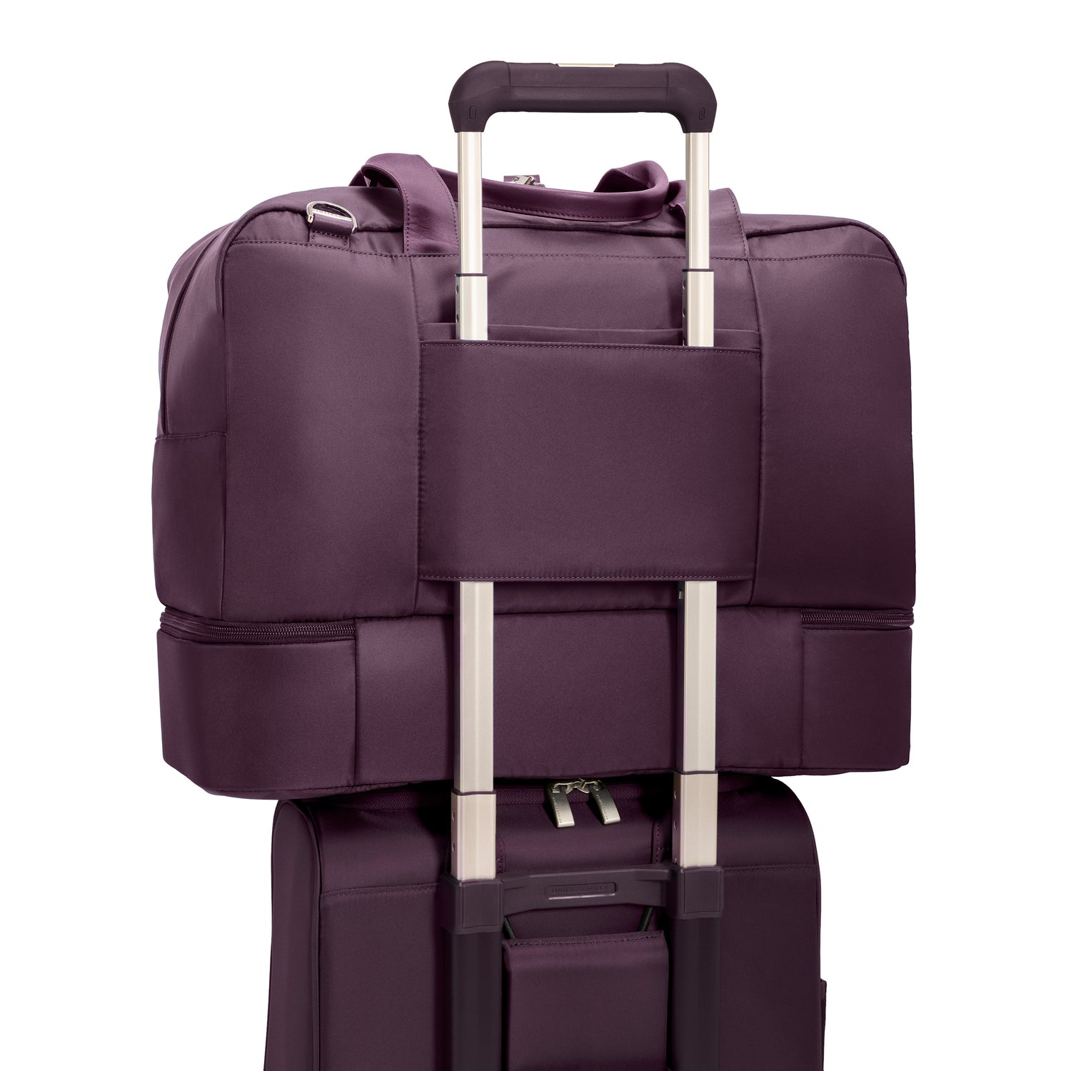 #colour_plum