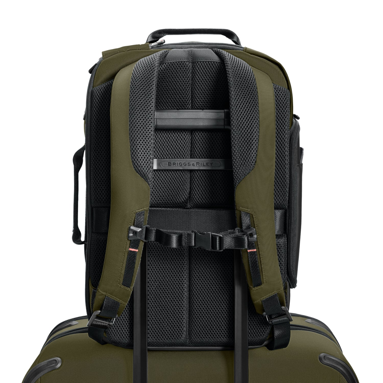 medium backpack #colour_hunter