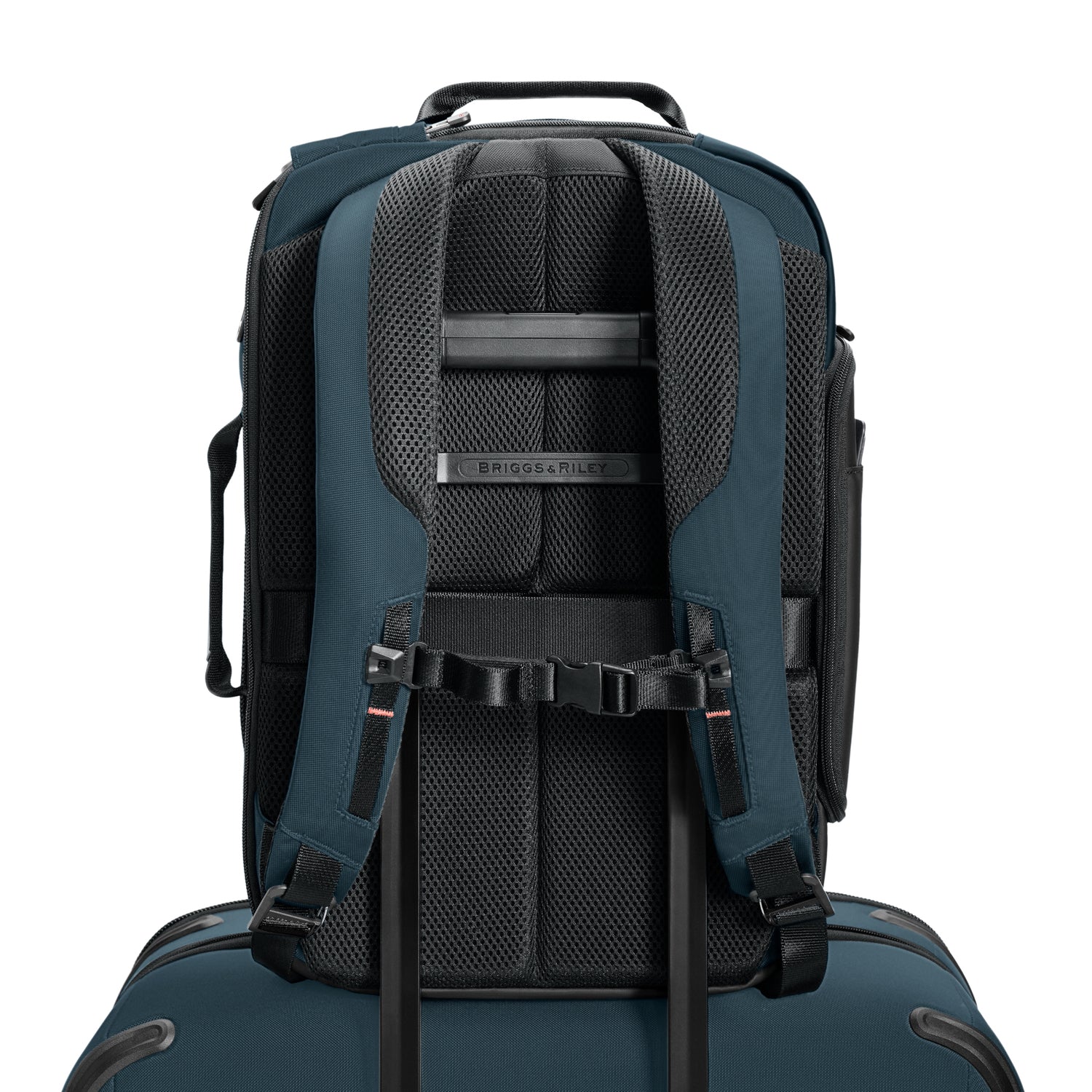 medium backpack #colour_ocean